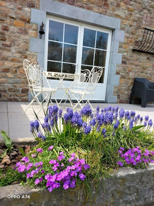 Gite La Dame Au Lit Gite A La Ferme Momignies Exterior photo