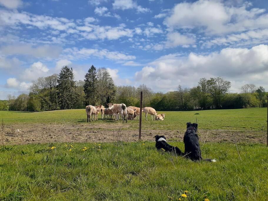 Gite La Dame Au Lit Gite A La Ferme Momignies Exterior photo